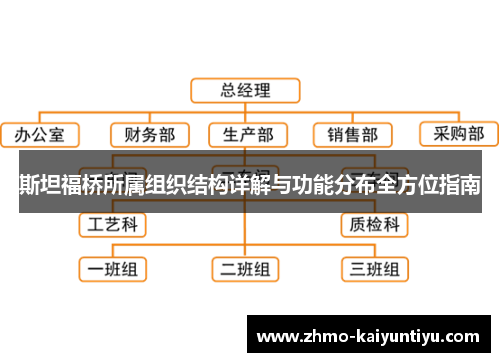斯坦福桥所属组织结构详解与功能分布全方位指南