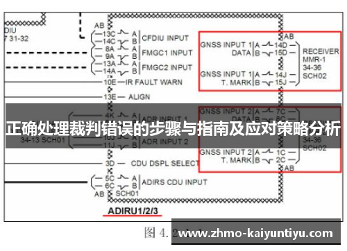 正确处理裁判错误的步骤与指南及应对策略分析
